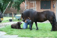 /album/fotogalerij-fotoboek/img-8038-jpg/